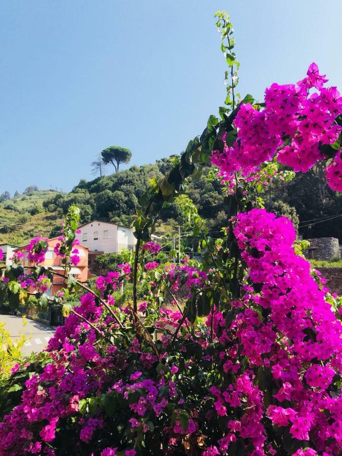 Appartamento Le Conchiglie Monterosso Al Mare Buitenkant foto